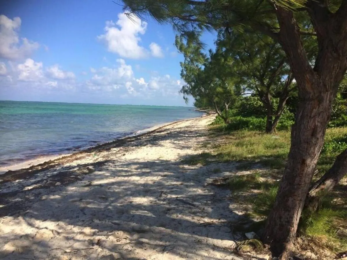 Apartment Suite 4, Blue Pavilion - Steps To Beach - Car, Value, Service West Bay